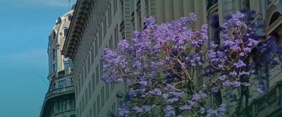 Buenos Aires